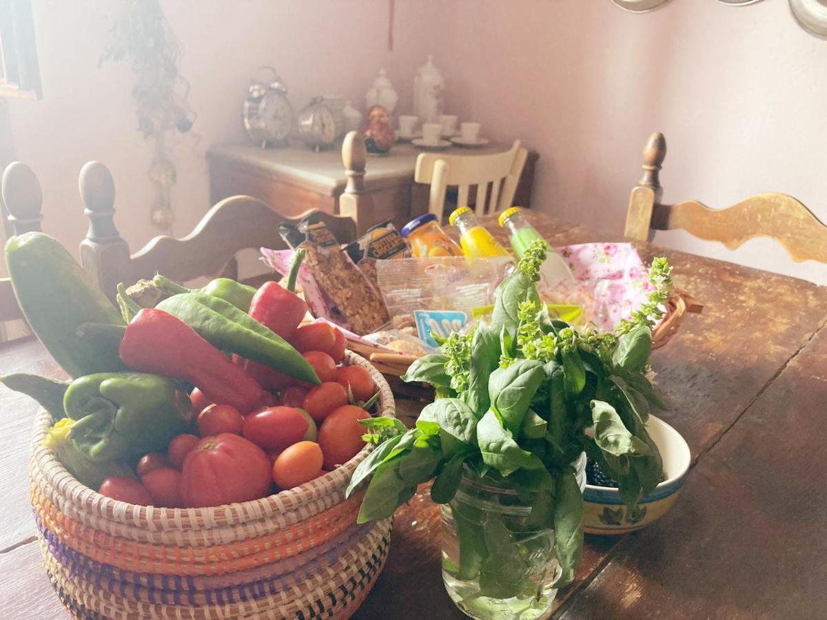 Appartamento La Zanzara Pergine Valdarno Buitenkant foto