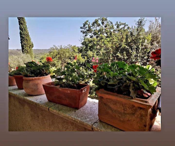 Appartamento La Zanzara Pergine Valdarno Buitenkant foto